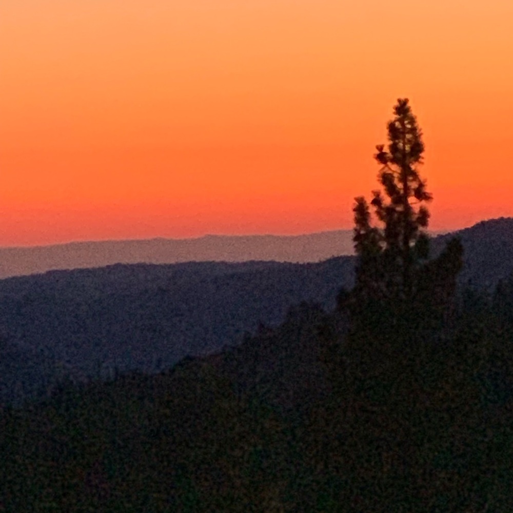 Meet your Posher, Carla